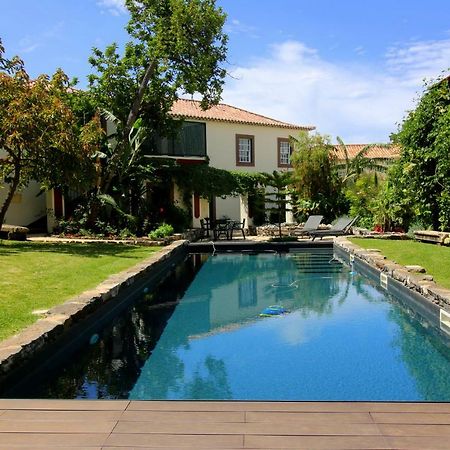 Quinta Araucaria Funchal Apartman Funchal  Kültér fotó